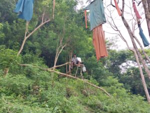 Pujiman menunggu lahan pertaniannya dari serangan Monyet Ekor Panjang