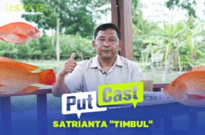 Mina Padi: Kesuksesan Budidaya Ikan dan Padi Barengan, Hasilkan Banyak Keuntungan!
