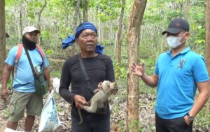 Bupati Gunungkidul bersama Dudung pemimpin penangkap monyet di Gunungkidul saat diwawancarai wartawan_Sumber Dhaksinarga TV. MOJOK.CO