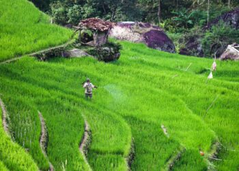 Melacak Desa Tertua di Wonogiri yang Sudah Ada Sebelum Era Majapahit MOJOK.CO