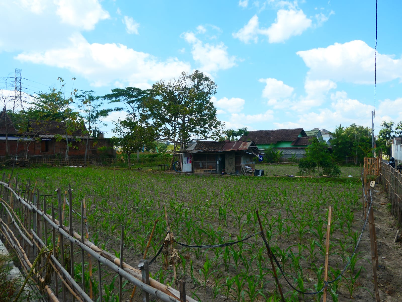 Lahan petani di tepi Jalan Kaliurang. MOJOK.CO