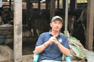 Sriyono atau Bonggol, memilih menekuni usaha peternakan sapi perah meski banyak tantangan yang ia hadapi MOJOK.CO