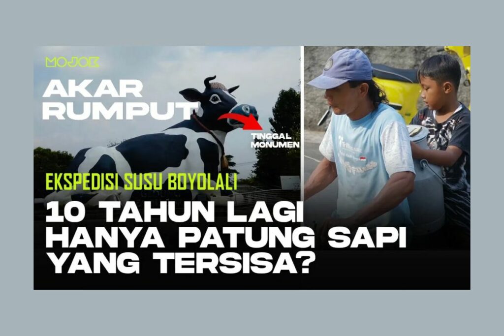 Kota Susu Boyolali dan Industri Susu Akar Rumput Mojok