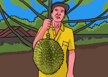 Ada Hidden Gem Kebun Durian di Jogja, Montong dan Musang King harga murah MOJOK.CO