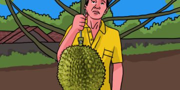 Ada Hidden Gem Kebun Durian di Jogja, Montong dan Musang King harga murah MOJOK.CO