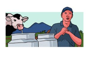 Peternak Boyolali: Rawat Sapi Impor Sulit, Program Susu Gratis Belum Tentu Untungkan Peternak Lokal