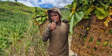 Kemenkes serampangan dalam susun R Permenkes yang di dalamnya ada aturan bungkus rokok polos MOJOK.CO