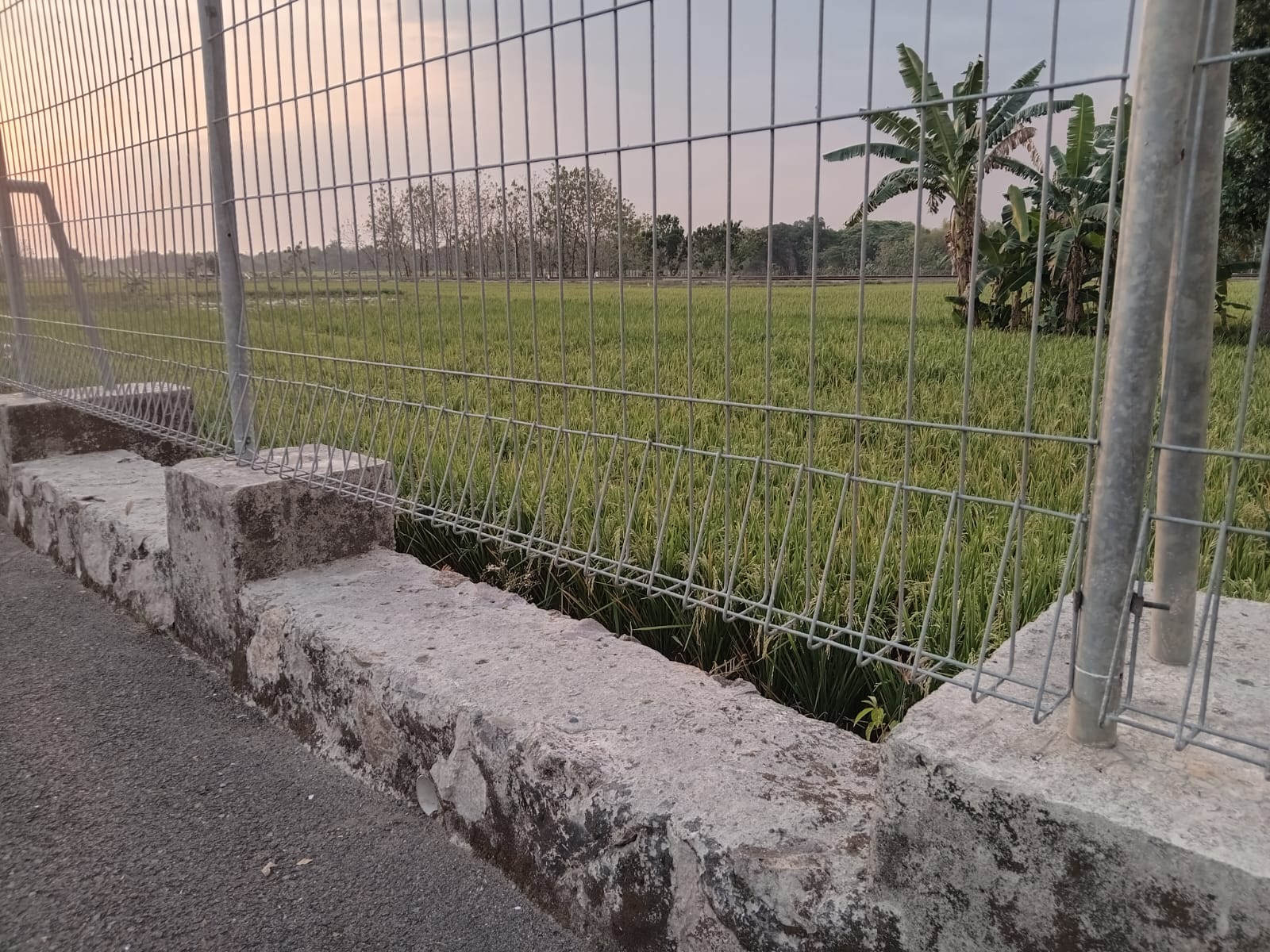 Bandara Ngloram Blora: Proyek Mahal, Tapi Berakhir Sepi Bagai Kuburan dan Cuma Bikin Susah Petani.MOJOK.CO