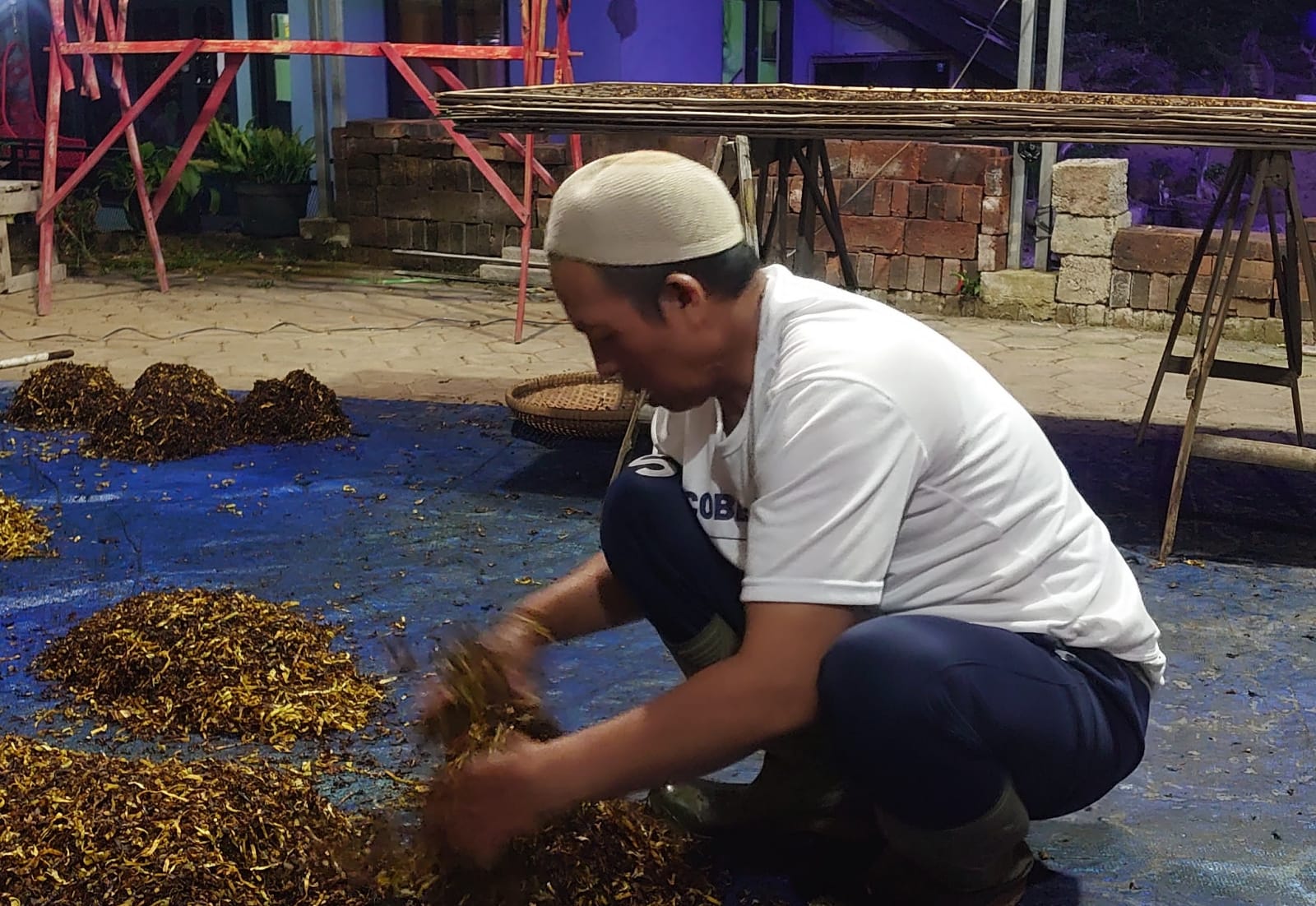 Cerita Petani di Bansari yang ‘Menolak Mati’ Saat Tembakau Temanggung Tak Lagi Seksi.MOJOK.CO