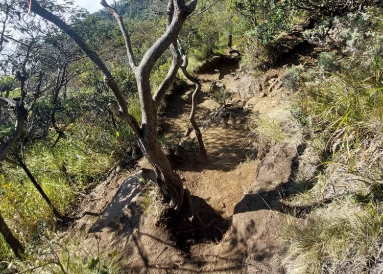 Jalan terjal di Gunung Lawu Magetan. MOJOK.CO