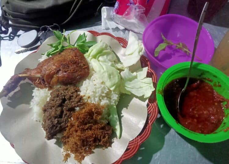 Porsi nasi bebek di dekat Universitas Widya Mandala MOJOK.CO