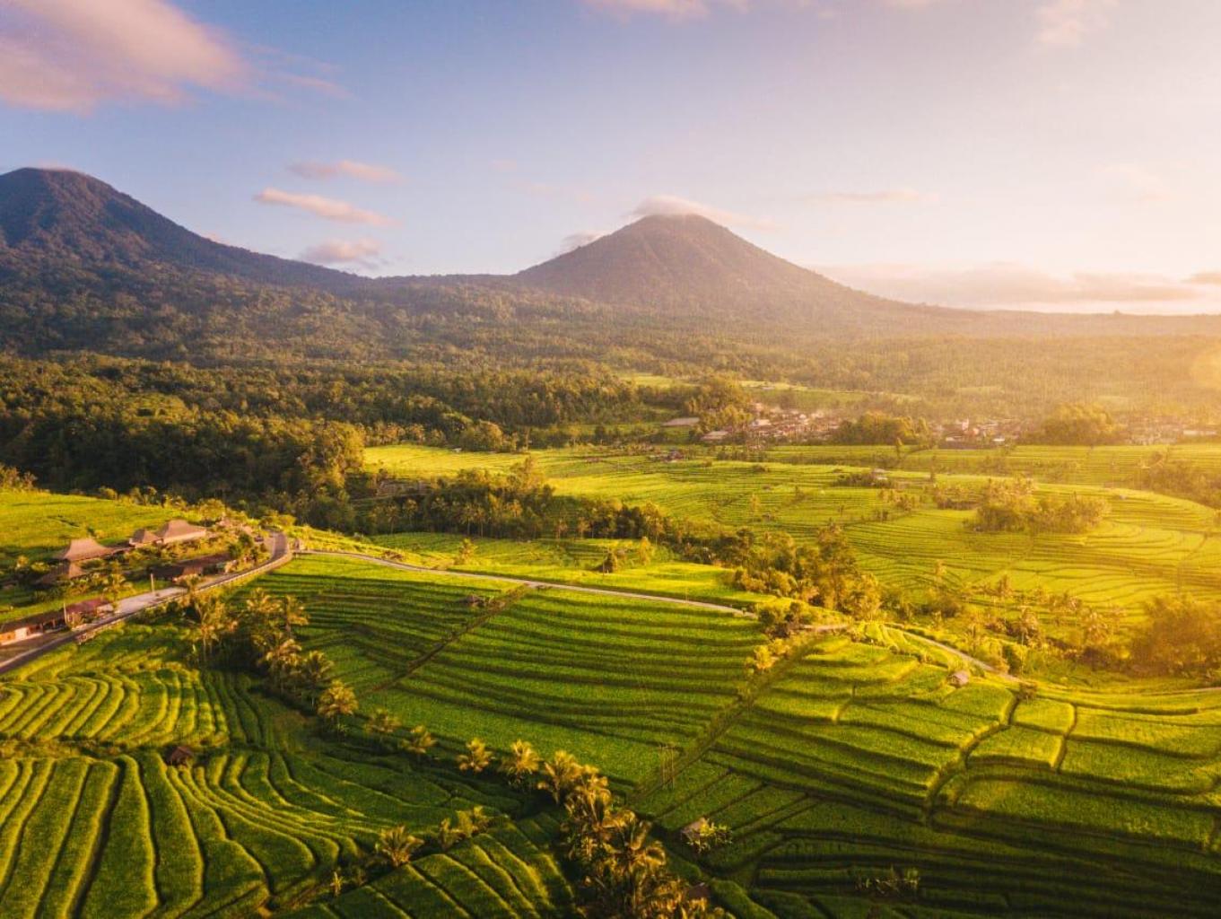 pariwisata bali.MOJOK.CO