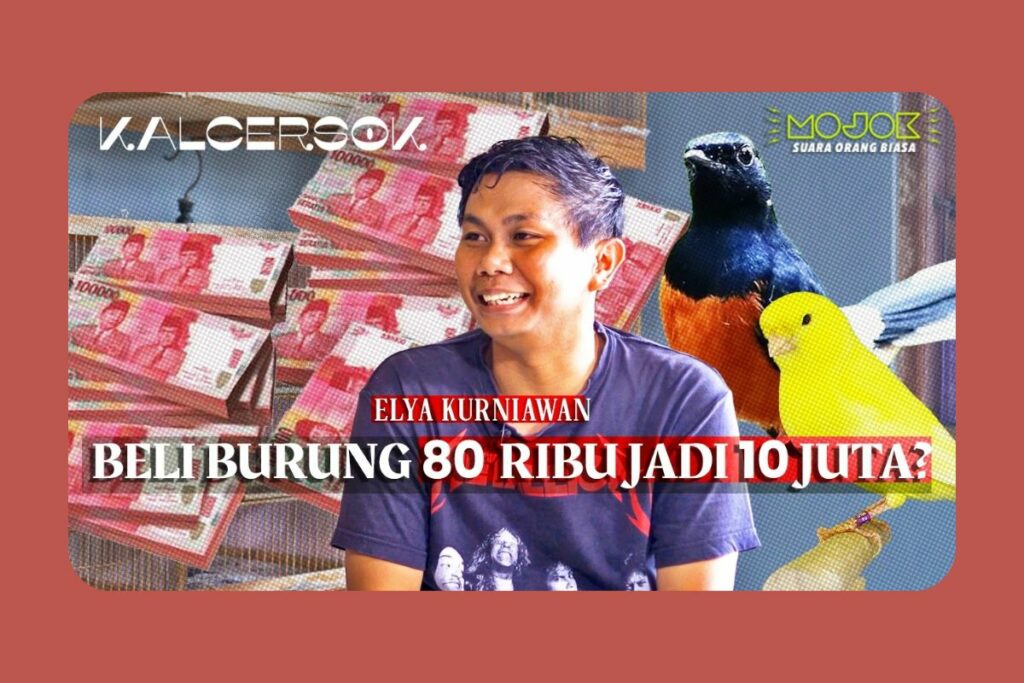 Rahasia Sukses Peternak Burung di Dalam Kamar Kos, Dapat Untung Hingga Jutaan