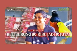 Rahasia Sukses Peternak Burung di Dalam Kamar Kos, Dapat Untung Hingga Jutaan
