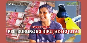 Rahasia Sukses Peternak Burung di Dalam Kamar Kos, Dapat Untung Hingga Jutaan