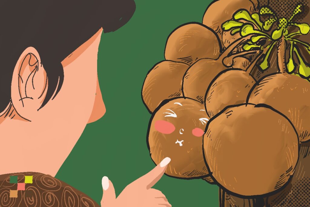 Buah Kepel, “Buah Keramat” di Kraton Jogja yang Kaya Khasiat tapi Kini Hanya Jadi Hikayat. MOJOK.CO