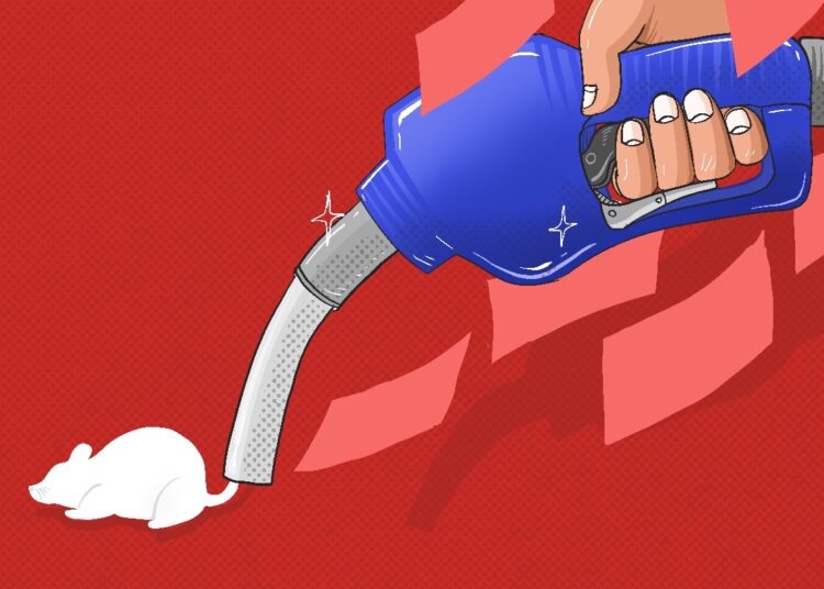 ‘Masyarakat yang Merasa Dirugikan Bisa Menggugat Pertamina via Class Action’ - Kata Ahli Hukum UGM soal Skandal Pengoplosan BBM.MOJOK.CO