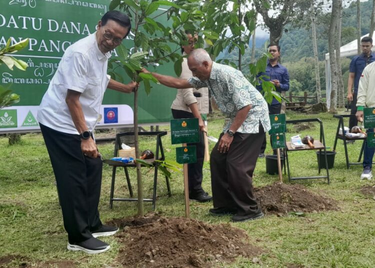 Buah Kepel, “Buah Keramat” di Kraton Jogja yang Kaya Khasiat tapi Kini Hanya Jadi Hikayat. MOJOK.CO