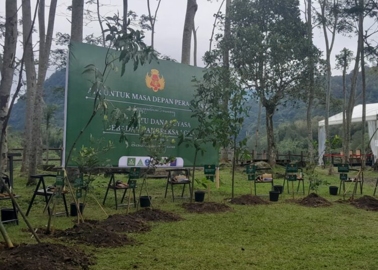 Buah Kepel, “Buah Keramat” di Kraton Jogja yang Kaya Khasiat tapi Kini Hanya Jadi Hikayat. MOJOK.CO
