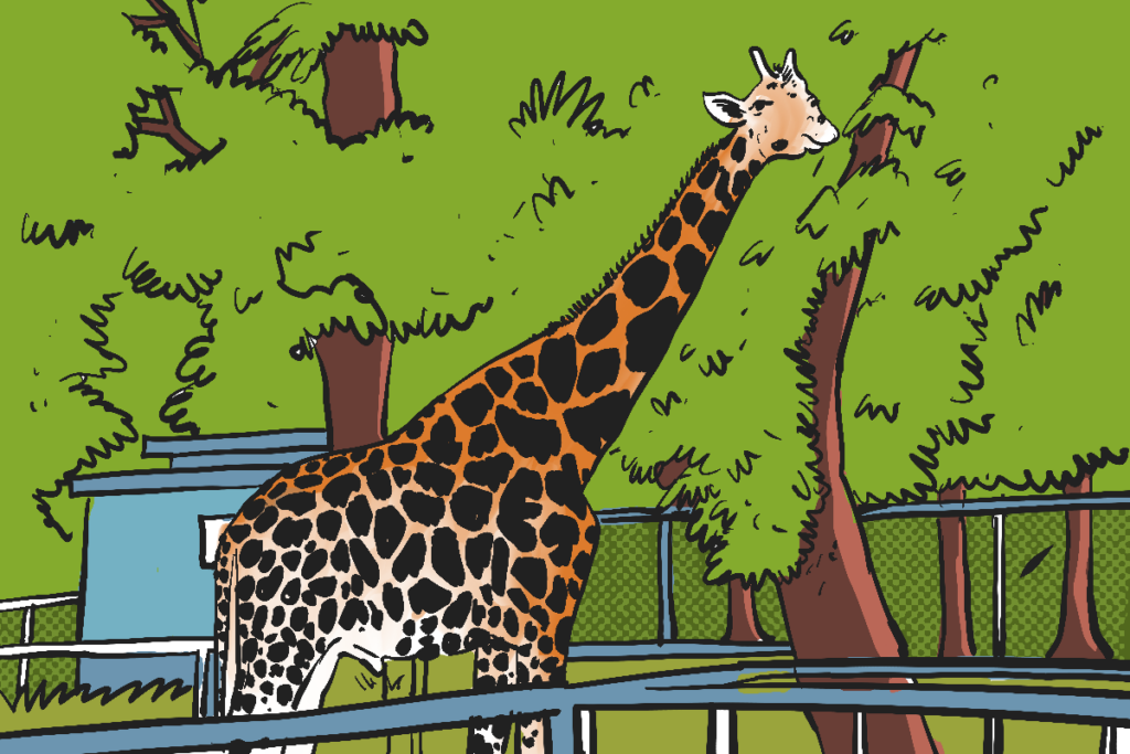 Kebun Binatang Surabaya (KBS) wisata orang pinggiran MOJOK.CO