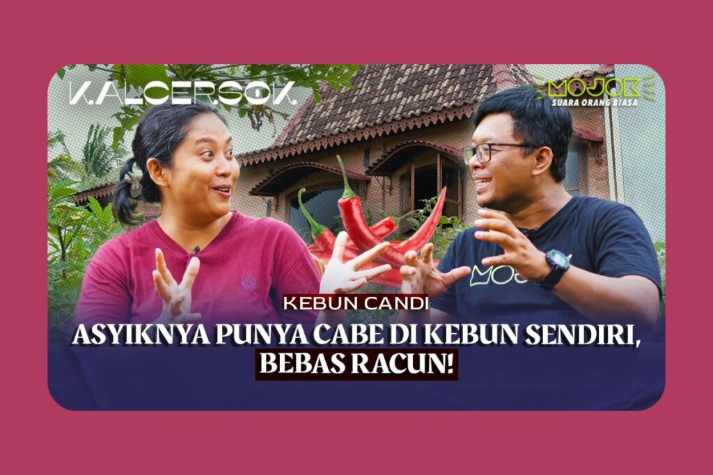 Ester dan Kebun Candi: Berkebun Bukan Cuma Soal Panen, Tetapi Juga Bagian dari Terapi Jiwa