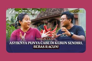 Ester dan Kebun Candi: Berkebun Bukan Cuma Soal Panen, Tetapi Juga Bagian dari Terapi Jiwa