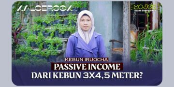 Tips Cuan dari Kebun Mini: Lahan Sempit Bisa Jadi Duit!