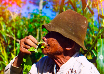 Komunitas Kretek dan KNPK tolak Hari Tanpa Tembakau Sedunia MOJOK.CO