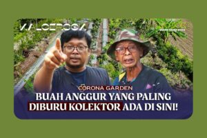 Modal Dengkul dan Urat, Pak Naryo Bangun Kebun Edukatif yang Bikin Orang Melek Pangan Sehat