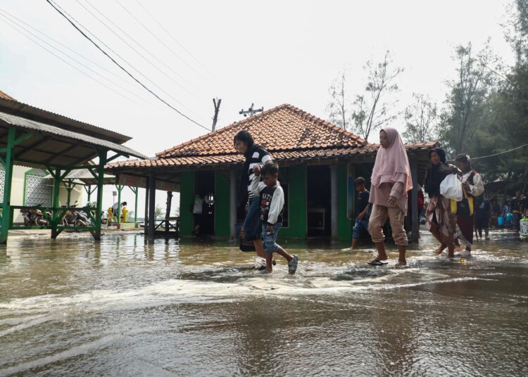 Penanaman mangrove di Desa Kertosari, Pemalang agar terhindar dari rob dan abrasi MOJOK.CO