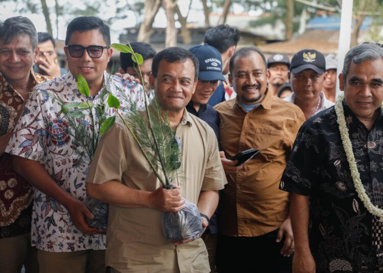 Penanaman mangrove di Desa Kertosari, Pemalang agar terhindar dari rob dan abrasi MOJOK.CO