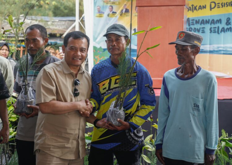 Penanaman mangrove di Desa Kertosari, Pemalang agar terhindar dari rob dan abrasi MOJOK.CO