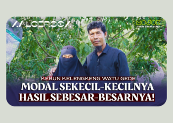 Bukan Petani Biasa: Bertani adalah Laku Hidup, Bukan Sekadar Profesi