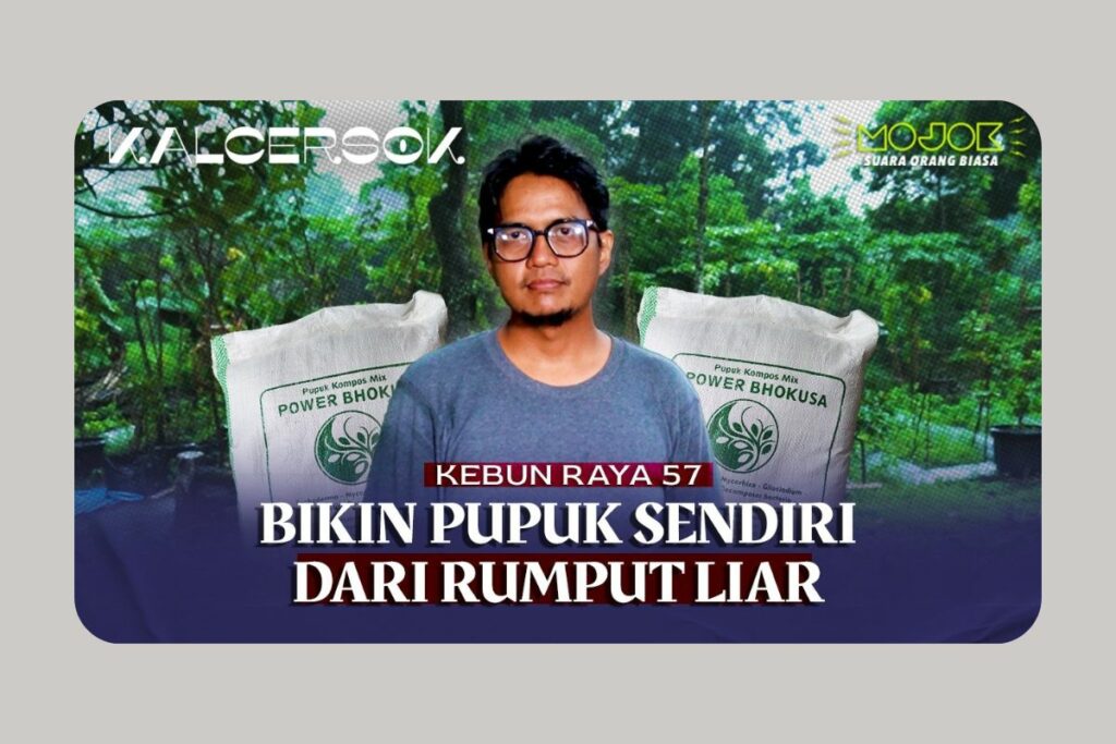 Tak Sekadar Gulma: Rumput Liar Bisa Jadi Pupuk yang Bermakna