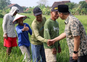 Wakil Gubernur Jawa Tengah, Taj Yasin salurkan bantuan benih padi ke petani Grobogan MOJOK.CO