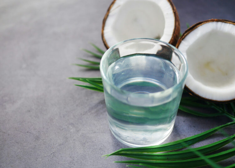 3 Kejahatan Pedagang Es Kelapa Muda- Bahaya bagi Pembeli! (Unsplash)