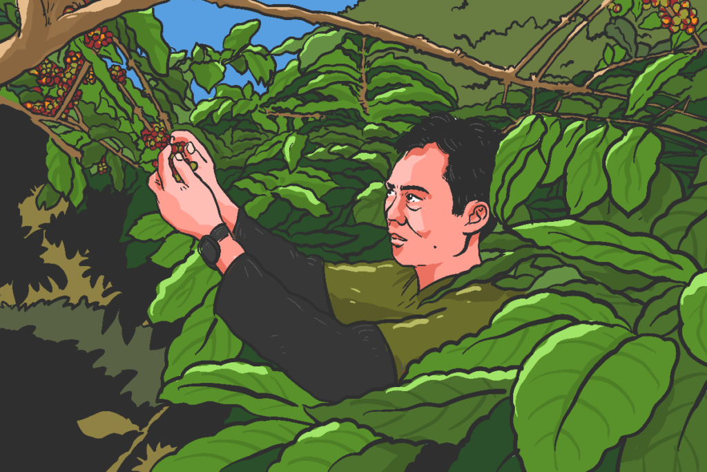 petani kopi rahtawu kudus jawa tengah.MOJOK.CO