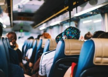 Rosalia Indah PO Bus Penuh Drama, dari Maling sampai Kecoa (Unsplash)