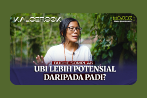 Pangan dari Tanaman Liar: Budhe Somplak dan Upaya Merawat Alam lewat Pertanian Berkelanjutan
