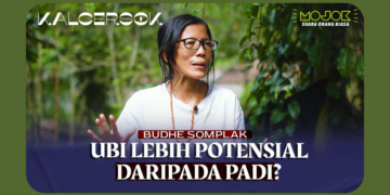 Pangan dari Tanaman Liar: Budhe Somplak dan Upaya Merawat Alam lewat Pertanian Berkelanjutan