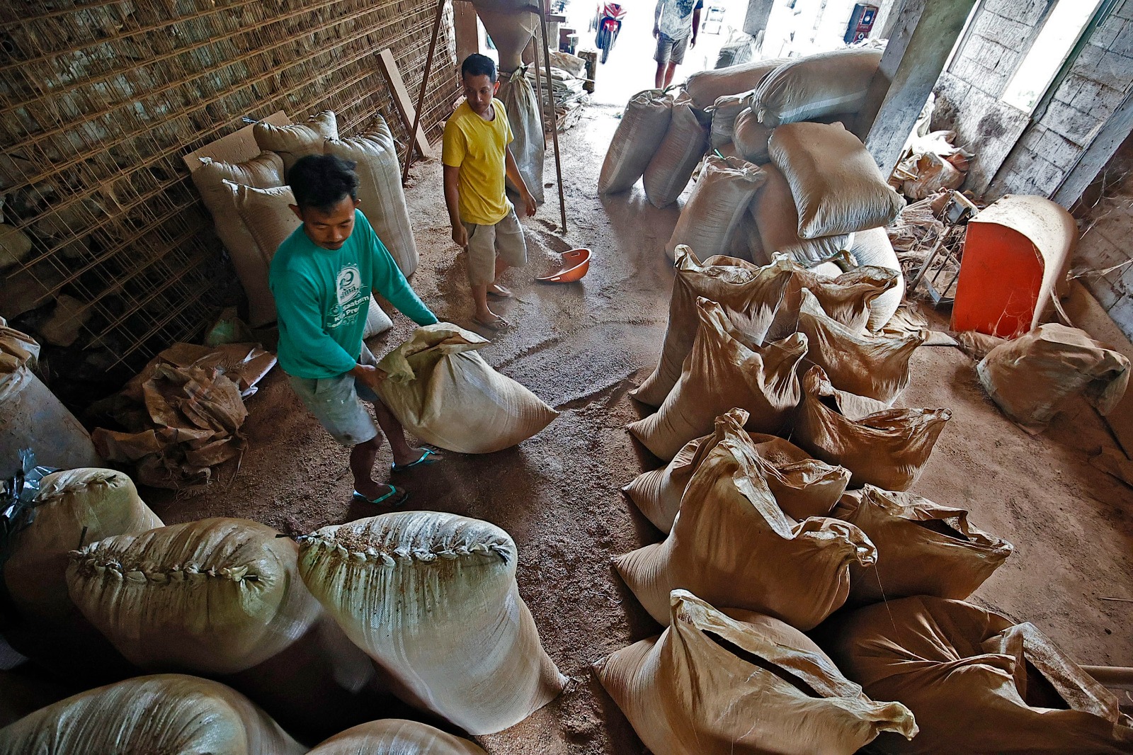 petani kopi rahtawu kudus jawa tengah.MOJOK.CO