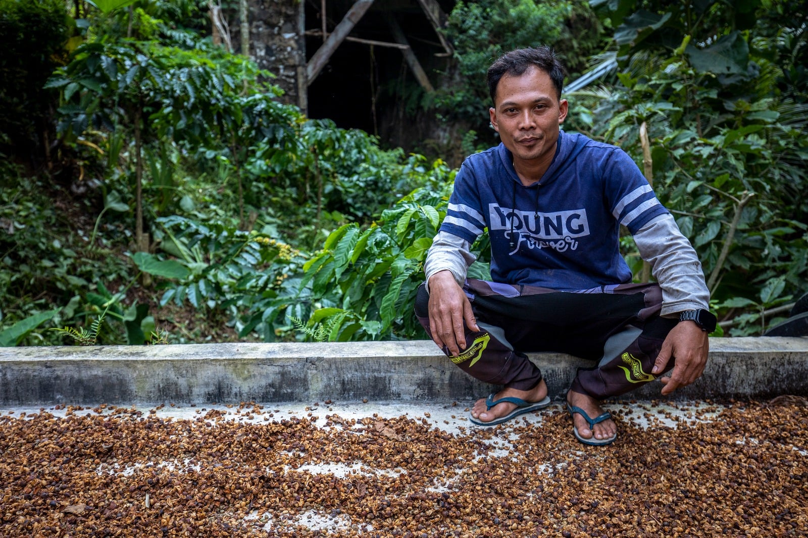 petani kopi kudus jawa tengah.MOJOK.CO