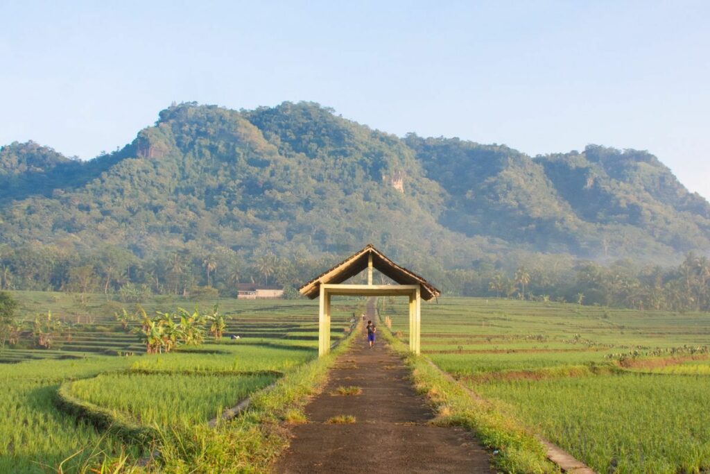 KKN Mending Dihapus Sekalian kalau Isinya Cuma Drama dan Programnya Gini-gini Aja