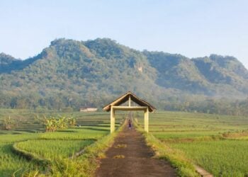 KKN Mending Dihapus Sekalian kalau Isinya Cuma Drama dan Programnya Gini-gini Aja