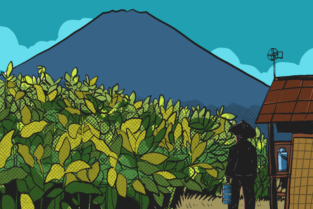 Rahasia di balik mantapnya tembakau Siluk di Dusun Srunggo II, Imogiri, Bantul MOJOK.CO