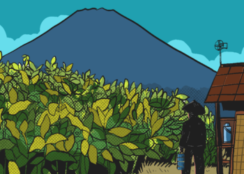 Rahasia di balik mantapnya tembakau Siluk di Dusun Srunggo II, Imogiri, Bantul MOJOK.CO