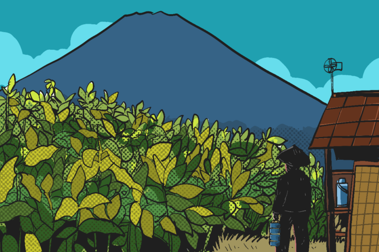 Rahasia di balik mantapnya tembakau Siluk di Dusun Srunggo II, Imogiri, Bantul MOJOK.CO