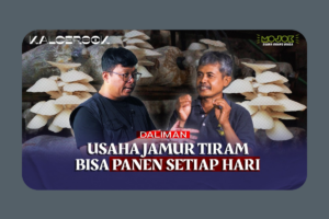 Daliman dan Perjuangannya Membangun Bisnis Jamur Tiram Rumahan
