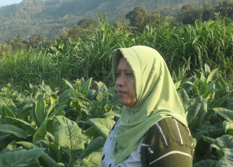 Restianti, petani tembakau Siluk asal Dusun Kalidadap II, Imogiri, Bantul MOJOK.CO