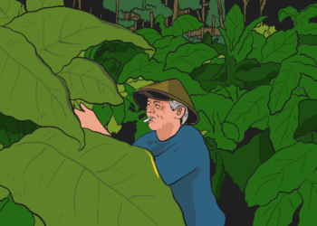 Tembakau Siluk: rumah, teman, dan nyawa bagi petani Srunggo-Kalidadap Imogiri, Bantul MOJOK.CO